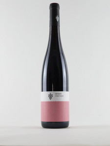Bender, Pinot Noir