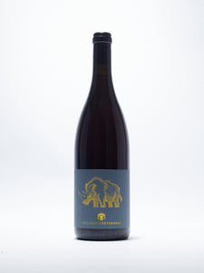 Auf Der Flucht, Blaufränkisch, Grüner Veltliner