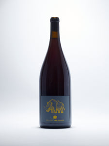 Auf Der Flucht Magnum, Blaufränkisch, Grüner Veltliner